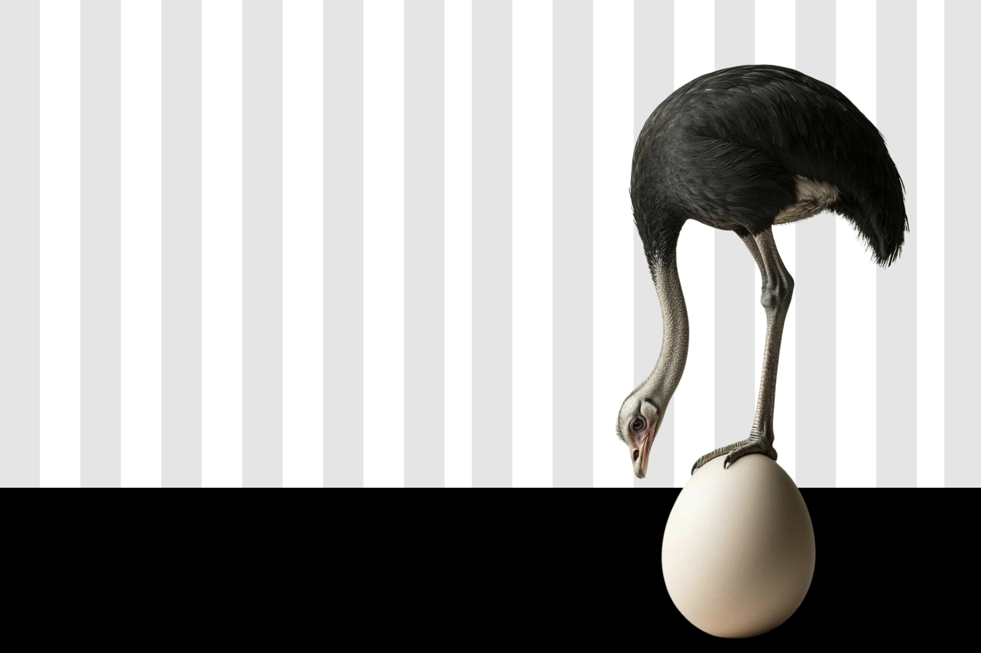 marketing com previsibilidade na saúde